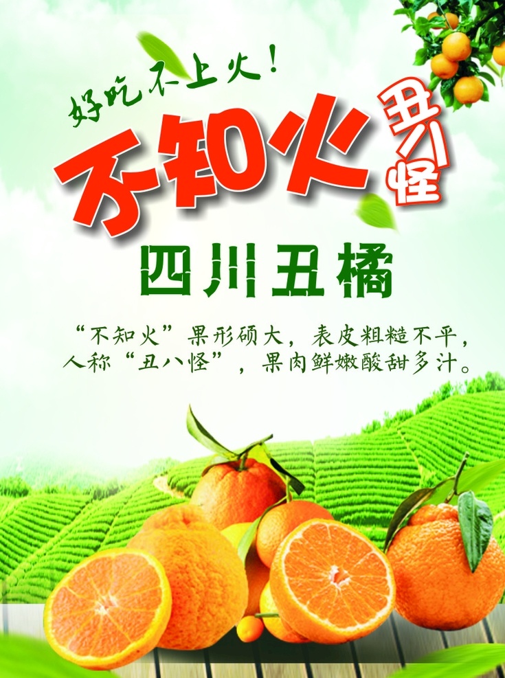 四川丑橘 水果 海报 简约风格 单页设计 展板设计
