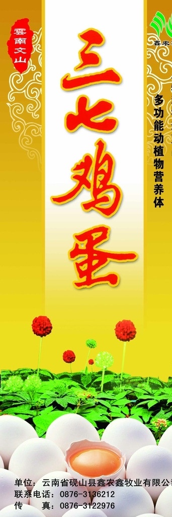 三七鸡蛋 鸡蛋 三七图片 三 七 三七设计图 三七 分层 源文件