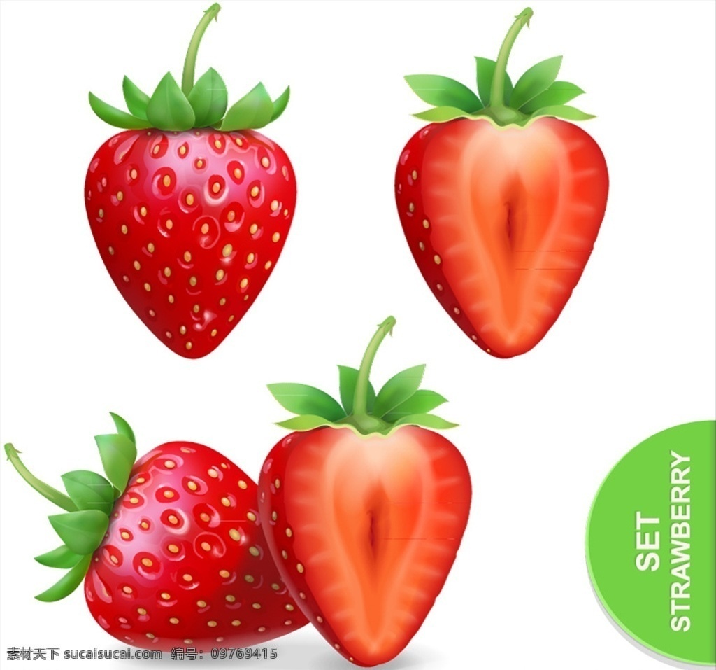 彩绘草莓 水彩 彩绘 矢量 卡通 草莓 美味 新鲜 水果 果子 手绘水果 彩绘水果 切开的水果 水果矢量图 水果矢量素材 水彩水果素材 彩绘水果素材 水果彩绘 插画 水果插画