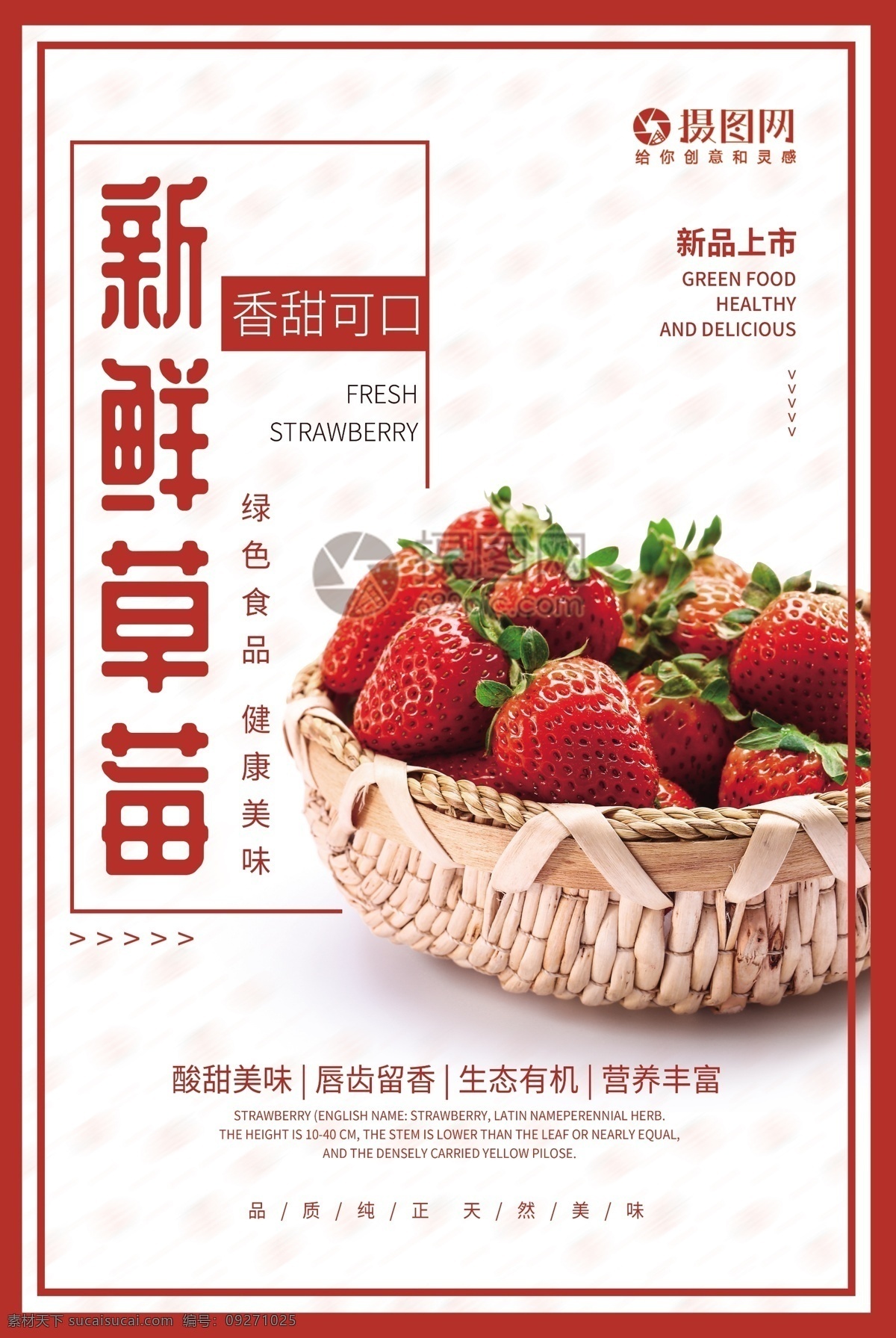 简约 新鲜 草莓 水果 海报 新鲜草莓 水果海报 草莓海报 新鲜草莓海报 美食水果 新品上市 绿色食品 香甜可口 美食餐饮 新鲜水果