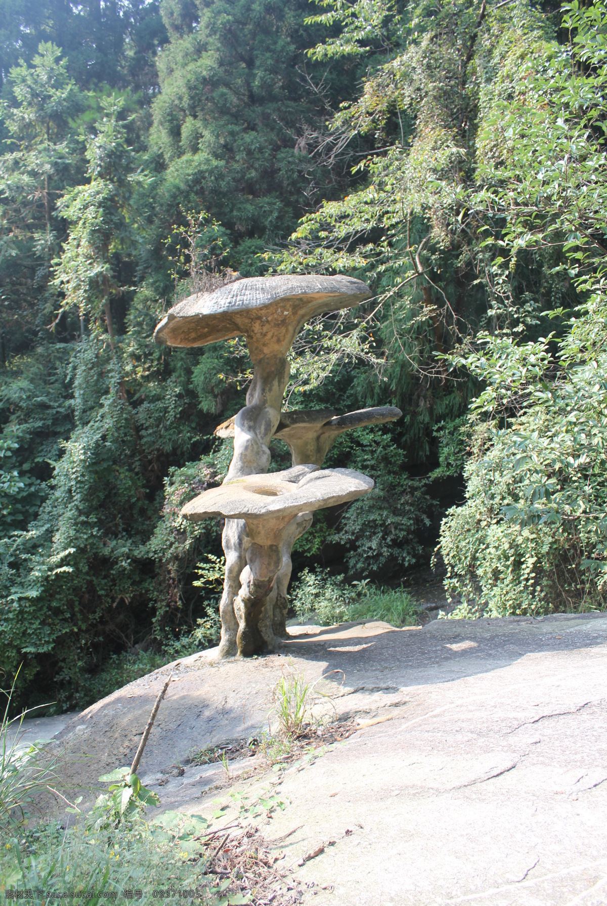 灵芝泉 南岳 衡山 旅游景点 石雕 建筑摄影 建筑园林