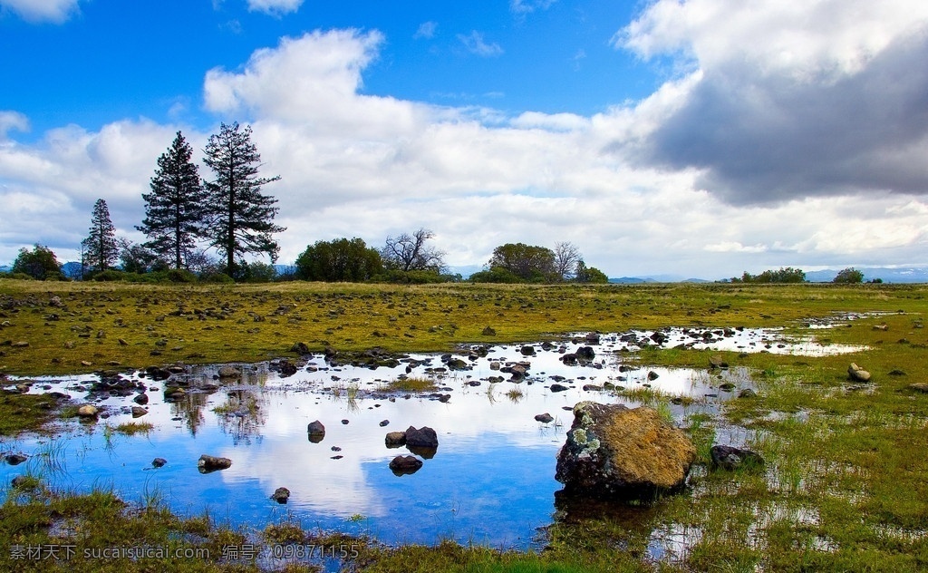 沼泽地 草地 坑坑洼洼 水坑 水 石头 乱石 树木 蓝天 白云 野外 山水剪影 自然风景 山水风景 自然景观