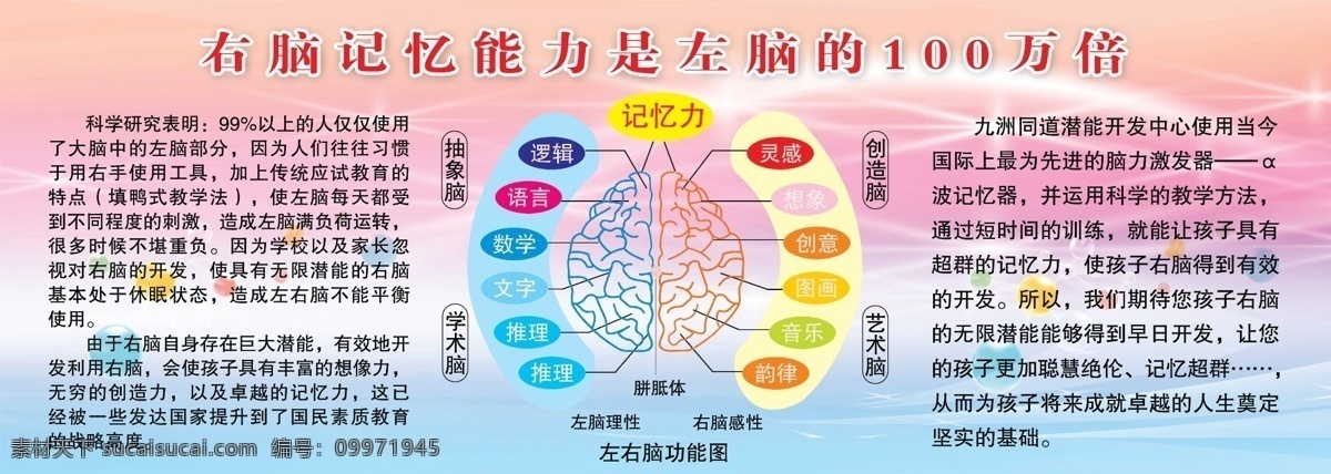 左右脑 功能 图 展板 记忆力 抽象脑 学术脑 创造脑 艺术脑 右脑 左脑 展板模板 广告设计模板 源文件