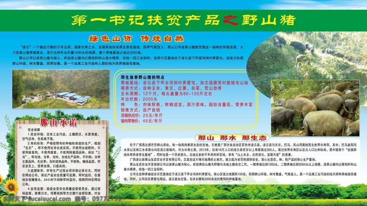 生态猪 野山猪 第一书记 扶贫产品 那山 那水 那生态 绿色 山货 山猪 放养 生态 野猪 猪 展板 展架 宣传 宣传栏 板报 海报 广告