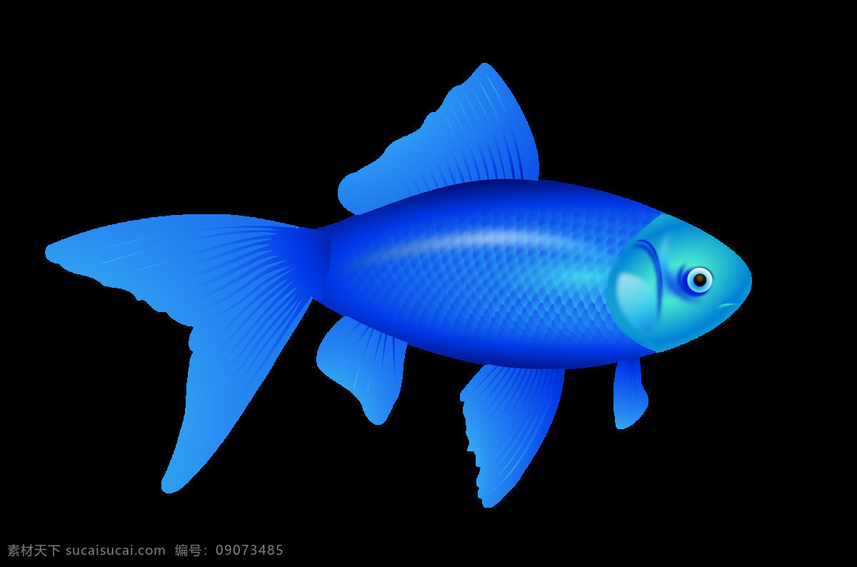 免 抠 图 蓝色 鱼 动物 免抠 psd分层 分层