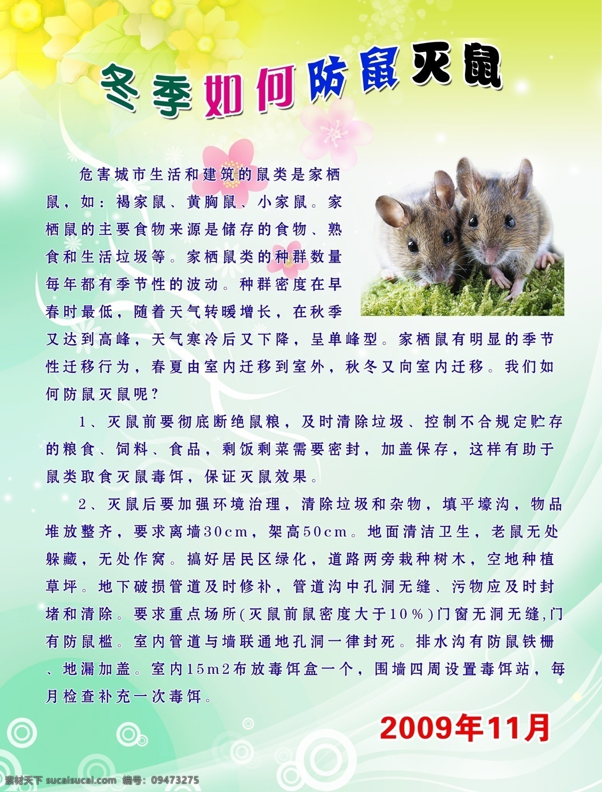 冬天 如何 防 鼠 灭鼠 防鼠灭鼠 老鼠 线条 花 花纹