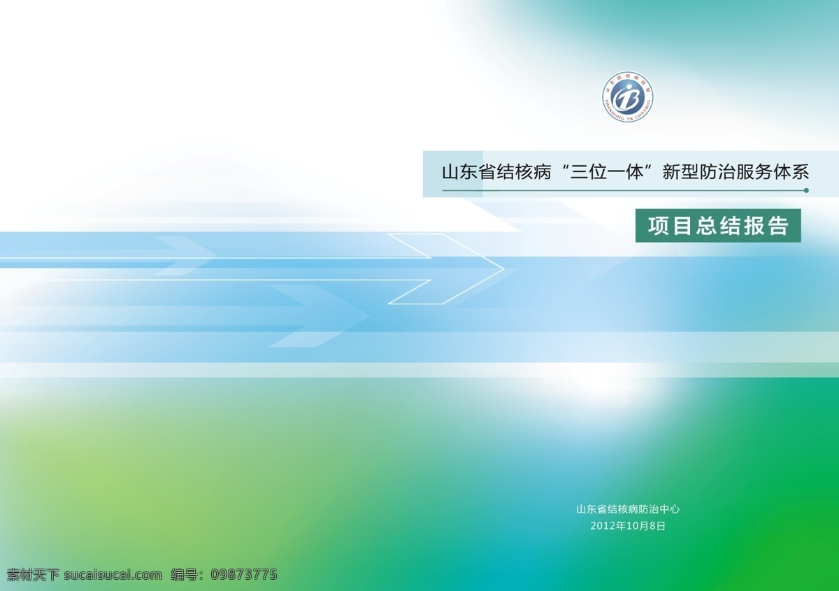 项目 总结 报告 广告设计模板 画册设计 箭头元素 科技之光 项目总结报告 源文件 结核病 防 制 标志 其他画册封面