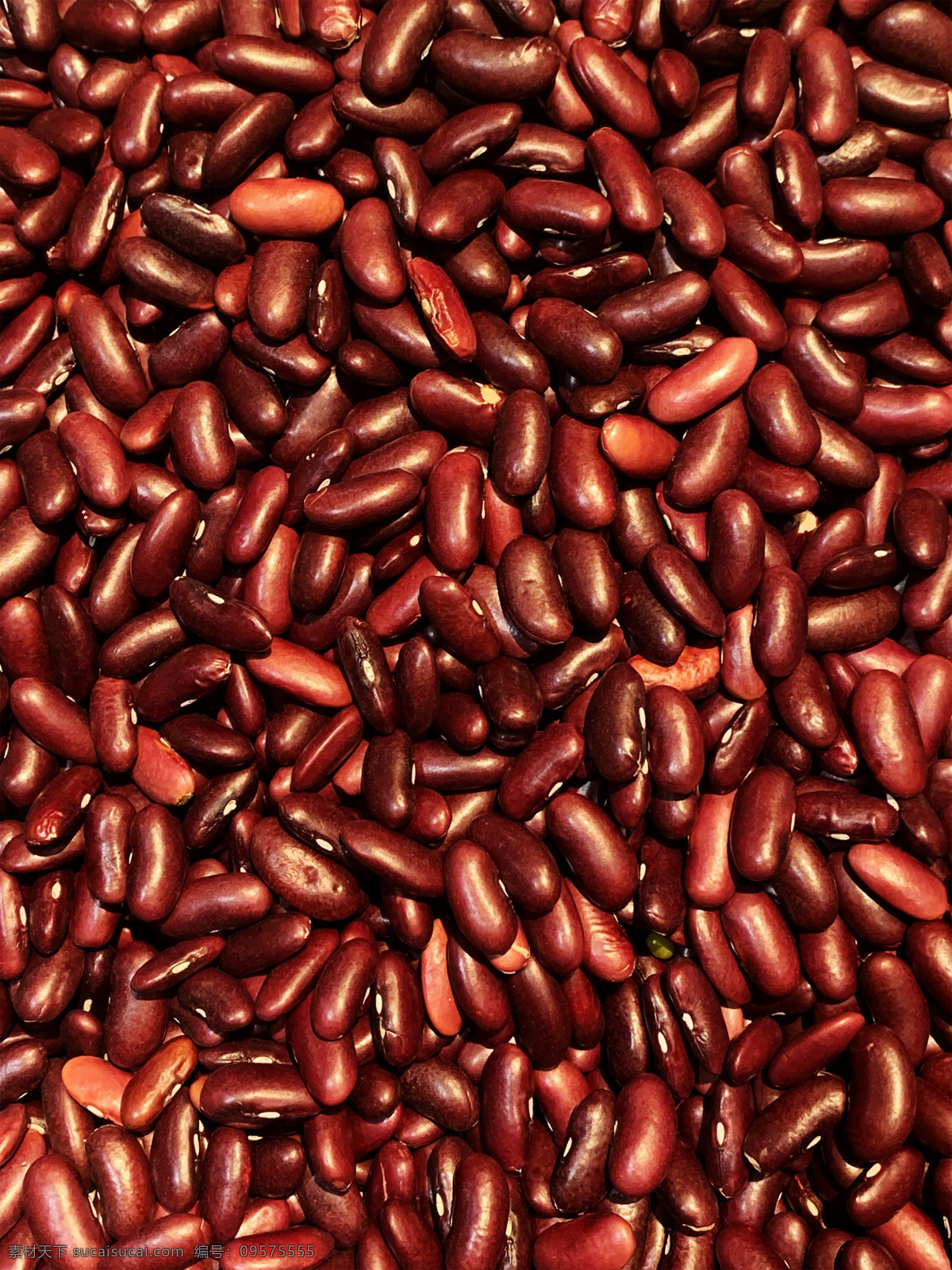 红腰豆图片 红豆 红腰豆 豆 豆子 豆类 农产品 农家特产 一堆红腰豆 生物世界 蔬菜