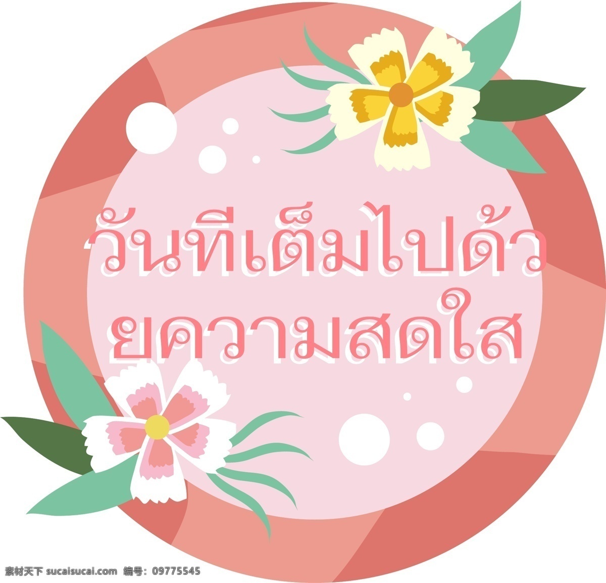 文本 字体 泰国 天 白色 明亮 桃红色 花 填 装 新鲜 鲜花 粉