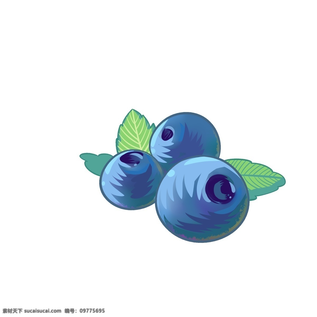 手绘 水彩 风格 蓝莓 三 只 三只 蓝色 紫色 水果 叶绿素 装饰 贴画 免扣 文件 大叶子