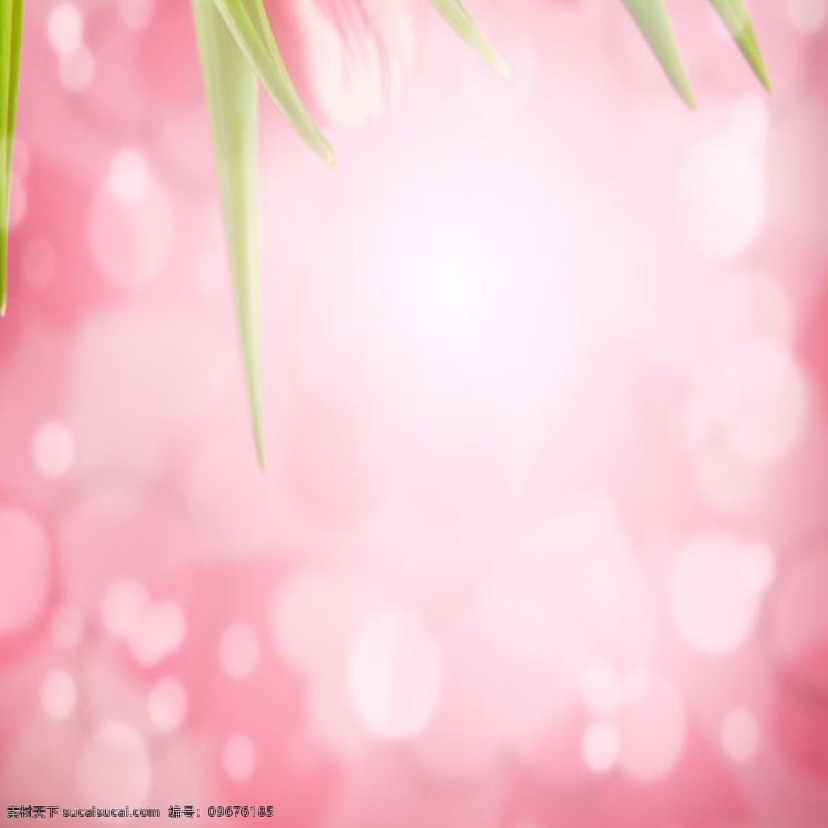梦幻 唯美 粉色 背景 图 简约 清爽 绿色 花朵 女装 清新 护肤品 玫瑰花