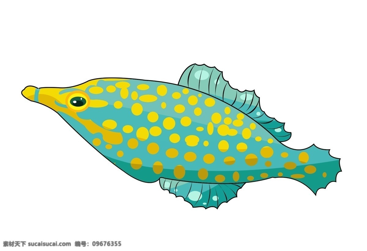 斑点图案鱼类 尖嘴 斑点 观赏