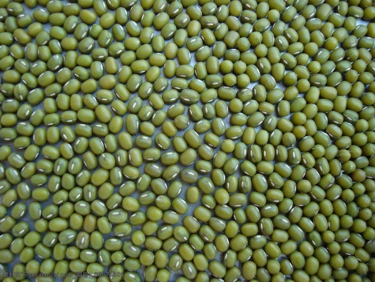 绿豆 豆 杂粮 餐饮美食 食物原料 杂粮系列 摄影图库 bmp