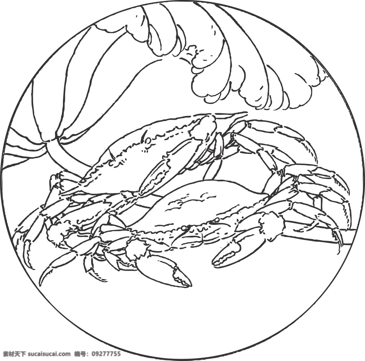 螃蟹 动物 甲壳类 地磁场 辨别方向 植物 叶子 线条 矢量 装饰 插画 白描 生物世界 海洋生物