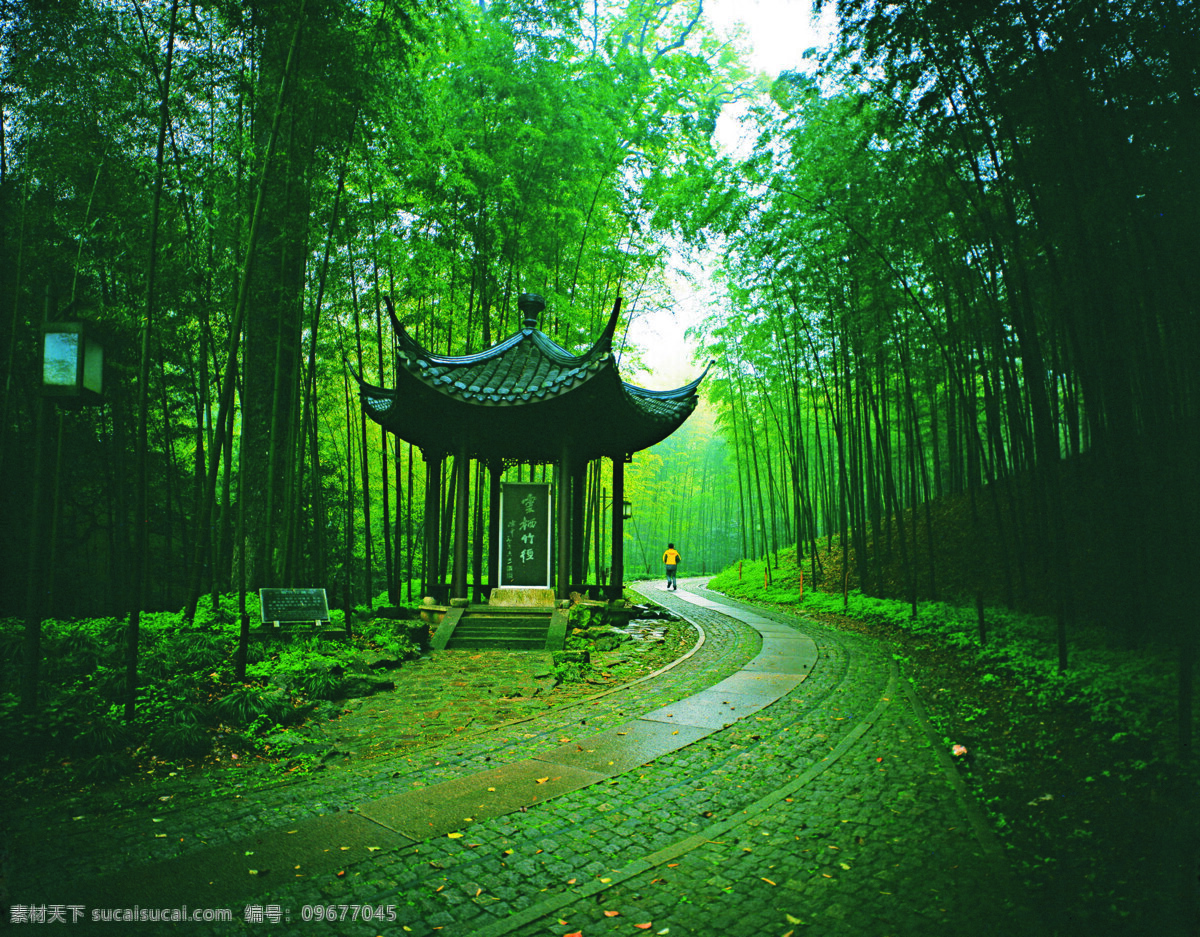 风景名胜 自然景观 西湖 新 十景 云 栖 竹 径 西湖新十景 云栖竹径 矢量图 日常生活