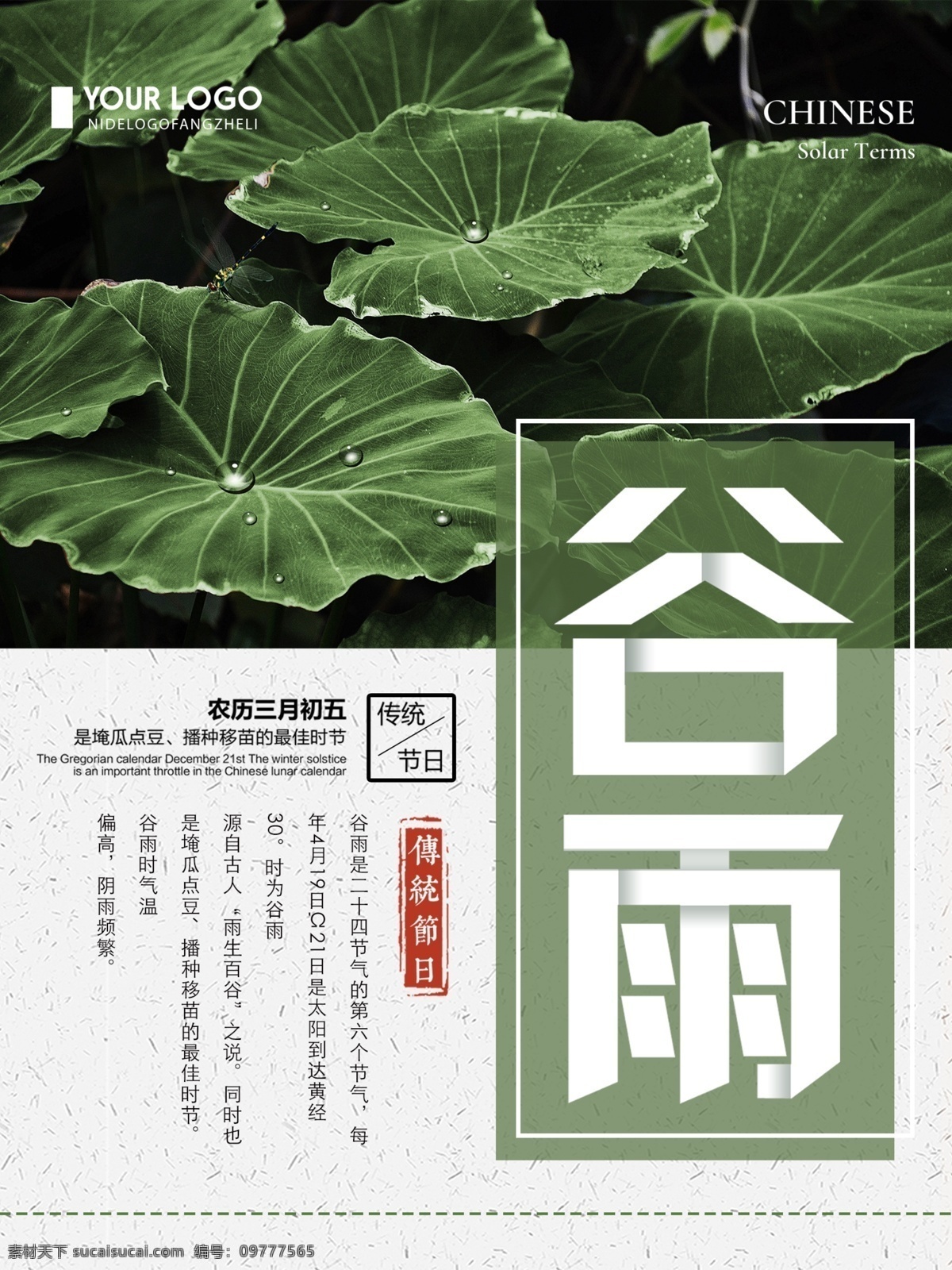 清新 简约 传统 二十四节气 谷雨 宣传海报 节气海报 谷雨海报 节气 海报