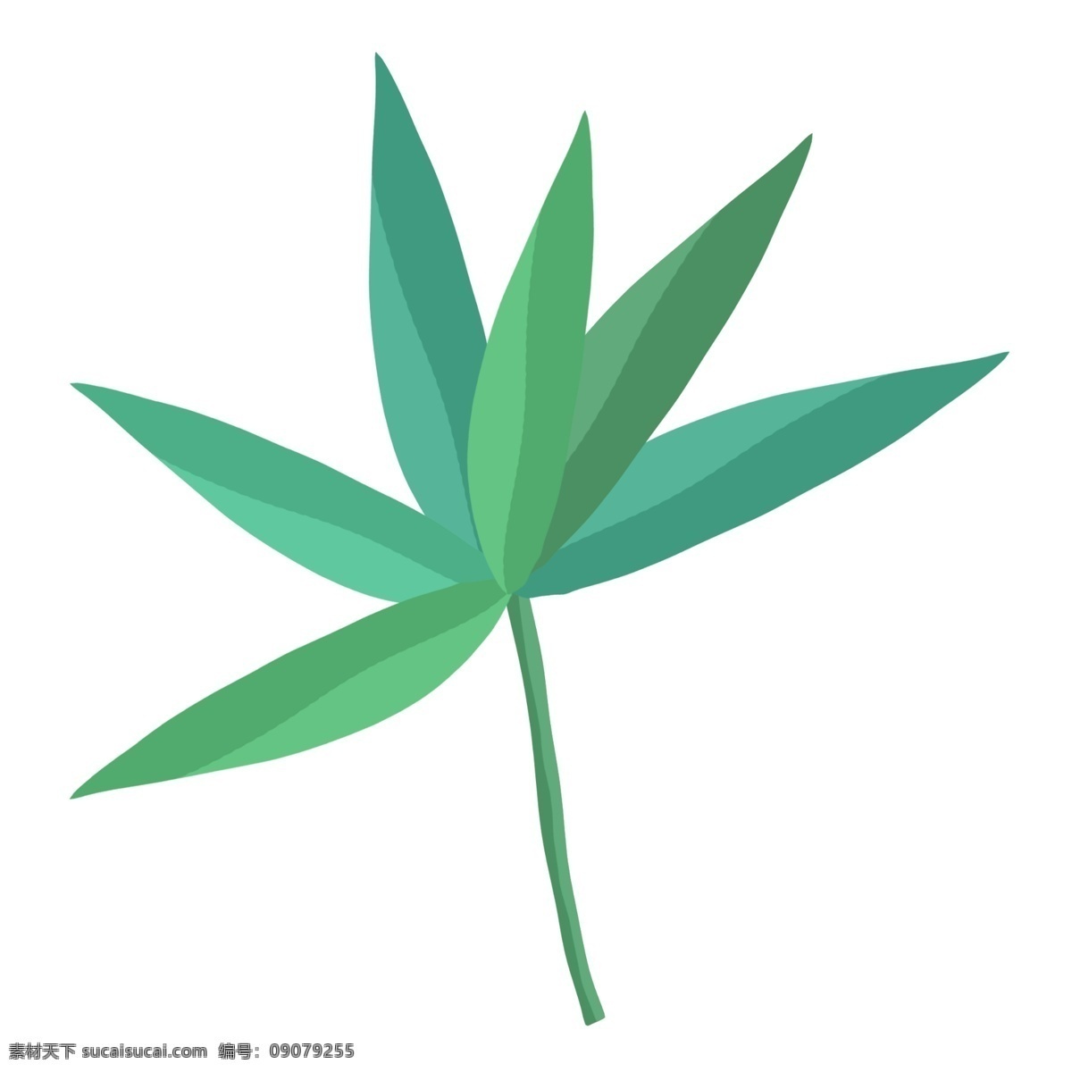 绿色植物 叶子 植物 薄荷 绿 绿色树叶 绿色 树叶 小清新叶子 绿植 夏日叶子 夏日装饰 薄荷绿 单片叶子
