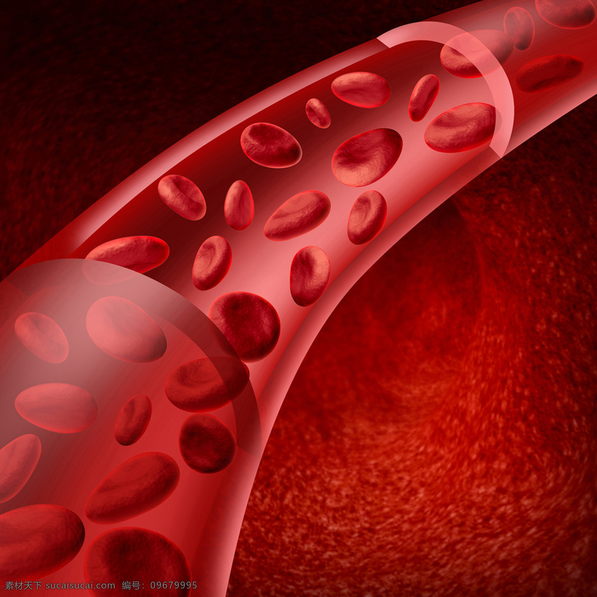 血管 里 红色 血小板 红色颗粒 红细胞 颗粒 分子 成分 3d 立体 分子细胞 细胞 医疗 保健 医学 医学研究 治病 病理 健康 医学素材 医疗研究 共享素材 现代科技 医疗护理