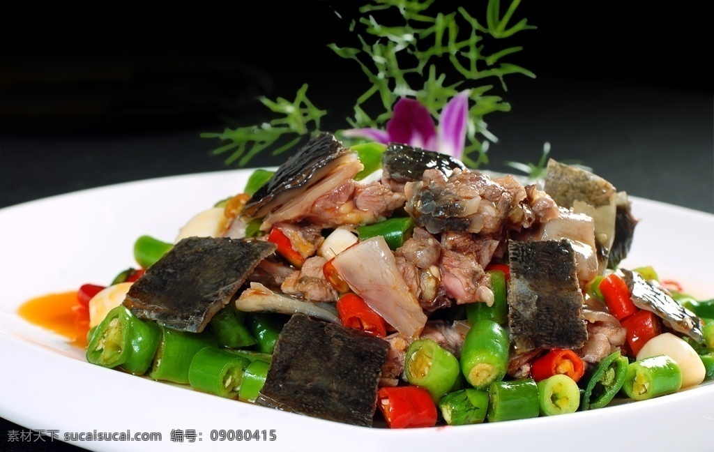 鲜椒甲鱼图片 鲜椒 甲鱼 麻辣川菜 川菜馆图片 川菜馆 川菜饭店 川菜美食店 川菜菜谱 特色川菜 川菜图片 川味川菜 川菜海报 传统川菜 正宗川菜 川菜美食 成都川菜 四川菜 特色 美食 菜谱 传统美食 川菜 热菜 肉菜 私房菜 时尚川菜 菜单图片 菜单 菜谱图片 美食摄影 美食照片 特色菜品 餐饮美食