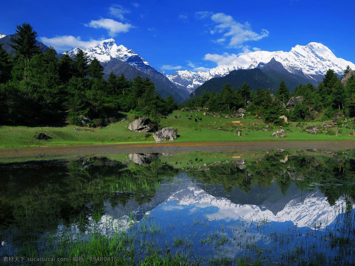 吉隆之春 西藏风景 蓝天 雪山 草地 白云 金幡 西藏美景 旅游摄影 纳木错风景 纳木错圣湖 玉龙雪山 国内旅游