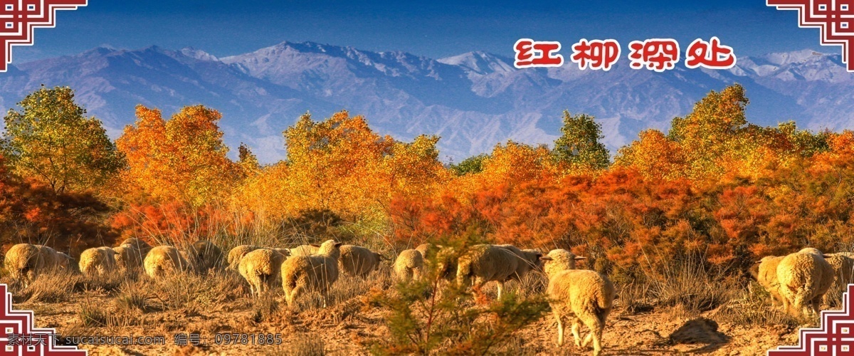 红柳 艺术背景 新疆烤肉 园林植物 园林花卉 河岸植物 紫色 粉红色 牛羊 蓝天 白云 自然景观 人文景观