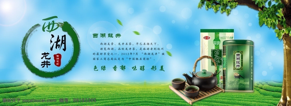 茶业网页 西湖龙井 茶图片 大树 蓝天白云 茶壶 龙井介绍图