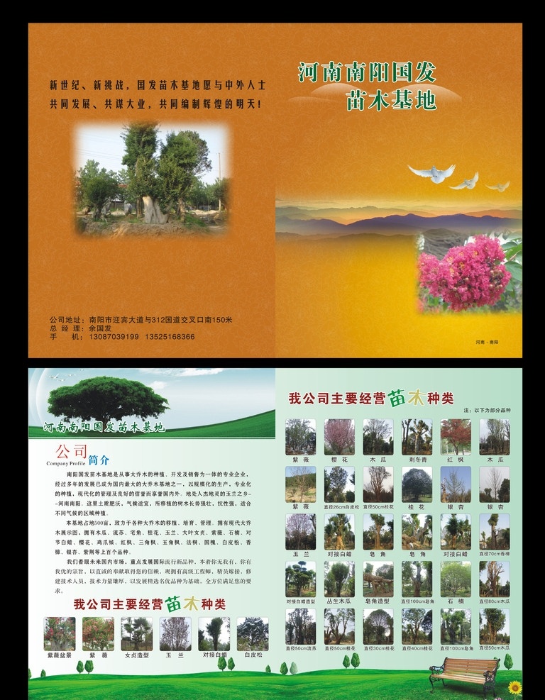 苗木宣传广告 园林 苗木 花卉 植物 花草苗木 各种苗木展示 绿色背景 紫薇 樱花 木瓜 银杏 桂花 盆景 画册封面 公司简介 种类陈列 土黄色封面 二折页 画册设计 矢量 dm宣传单