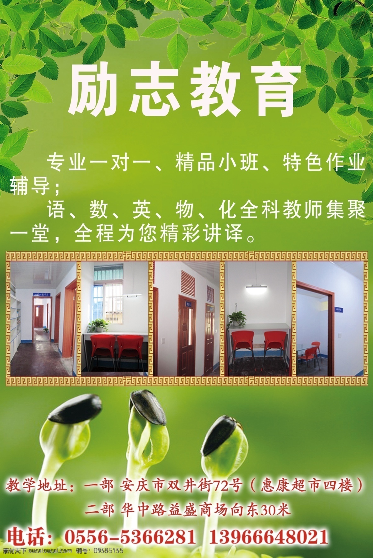 教育 展架 发芽 广告设计模板 花纹 教育海报 教育展架 树叶 源文件 励志教育 其他海报设计