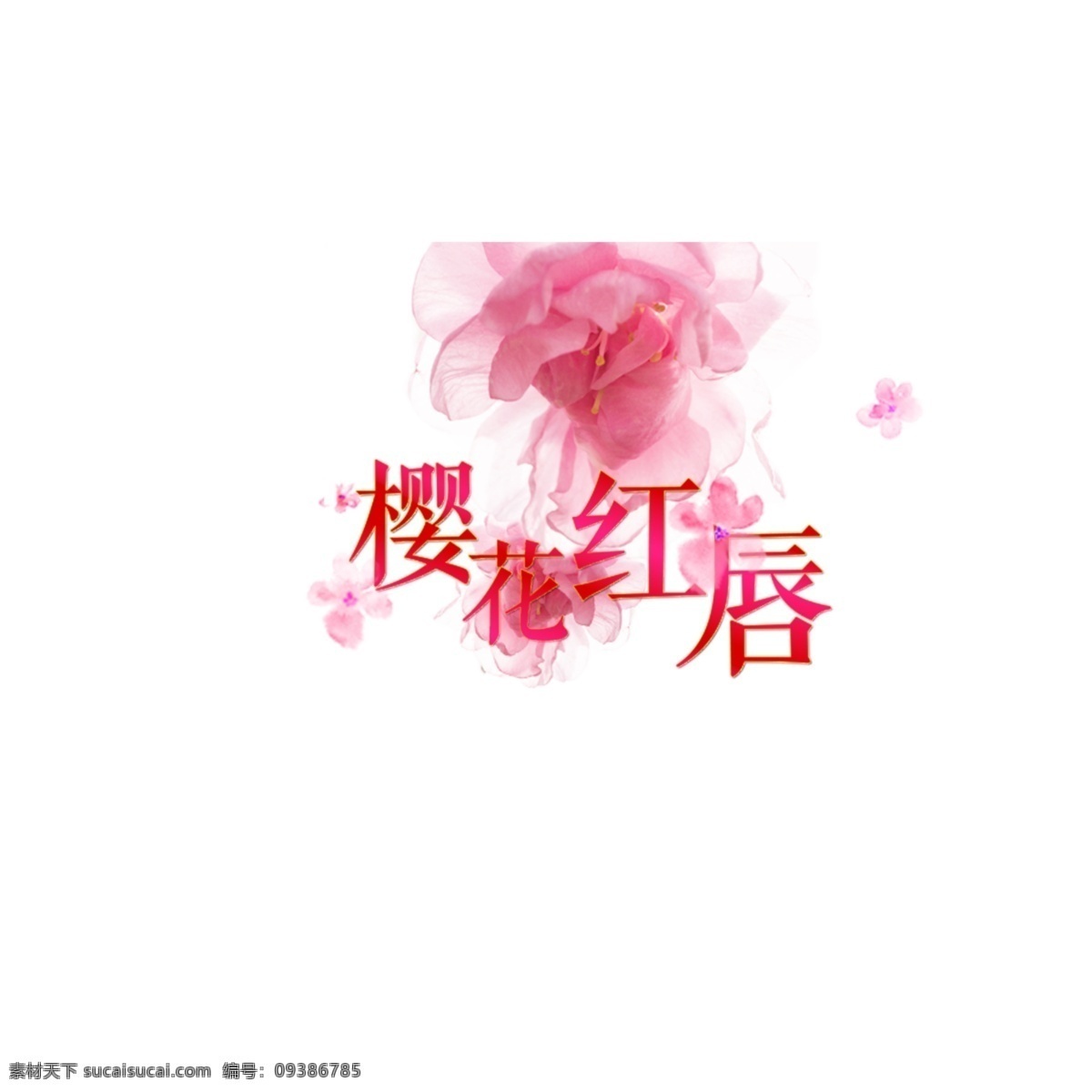 樱花红唇 樱花 粉色花 背景 粉色背景 白色