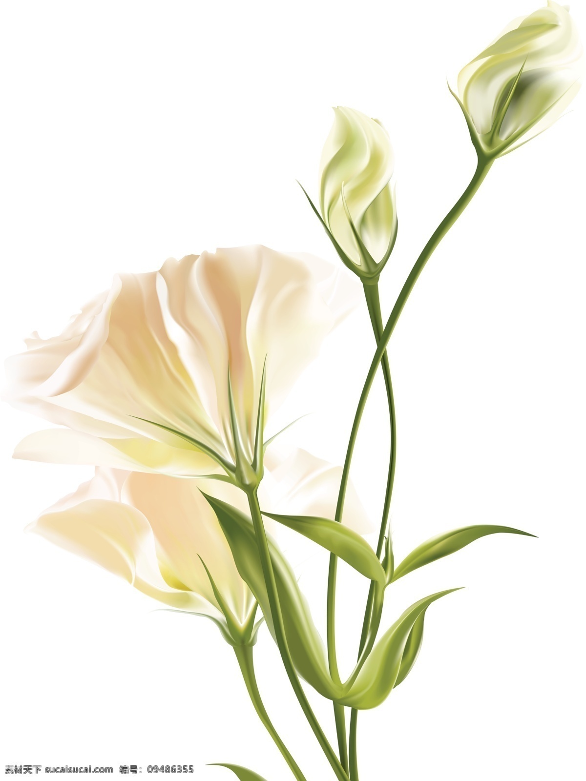 分层 百合花 背景底纹 韩式 花 花瓣 花纹 时尚 春暖花香 叶 移门 移门图案 玻璃印花 源文件 装饰素材