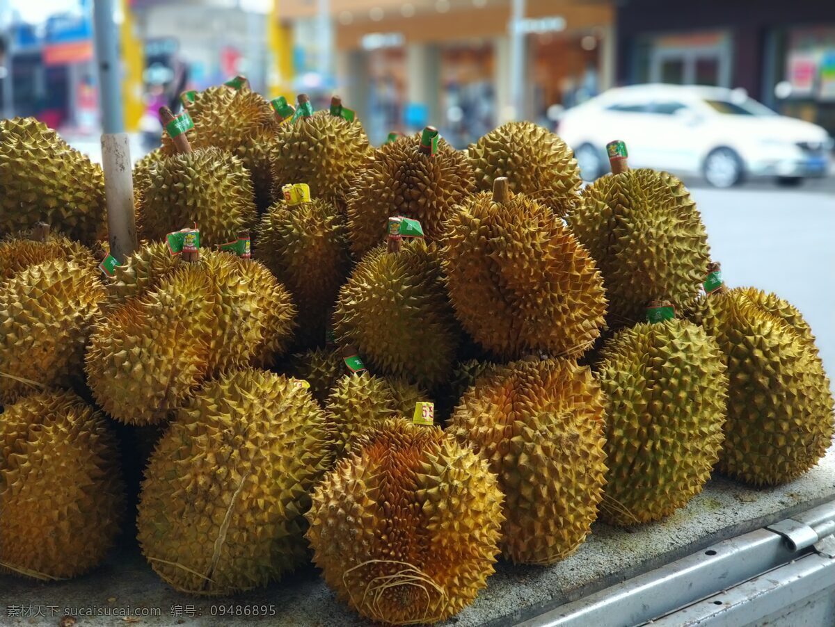 榴莲 新鲜 绿色 素食 热带水果 特产 鲜果 果实 水果摄影 生物世界 水果