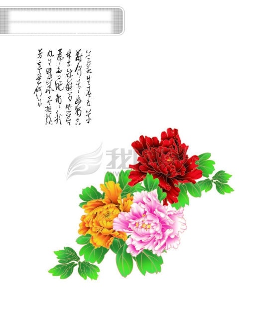 花 牡丹 牡丹花的图片 牡丹花图片 设计图库 菏泽 牡丹花 美丽 图片欣赏 洛阳 风景 生活 旅游餐饮