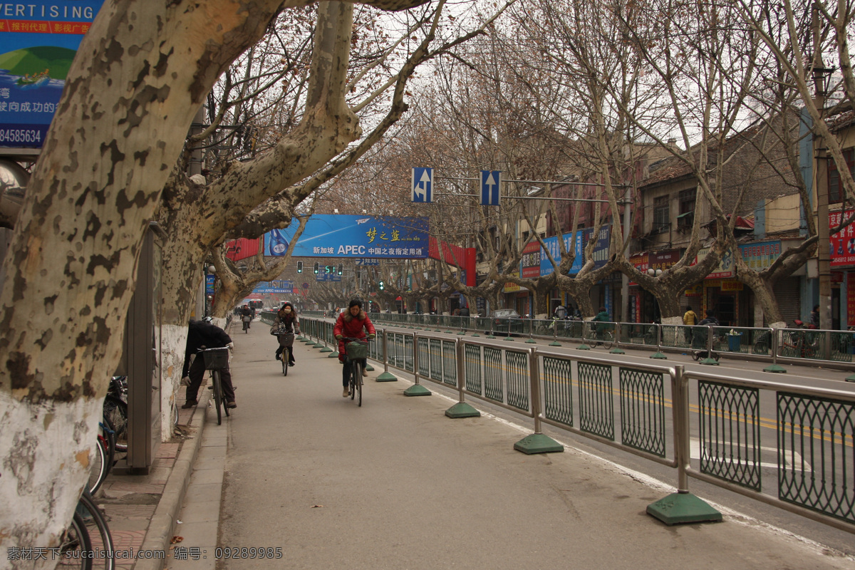 街边 梧桐树 建筑摄影 建筑园林 路边广告牌 马路 商业街 行人 街边的梧桐树 自行车道 矢量图