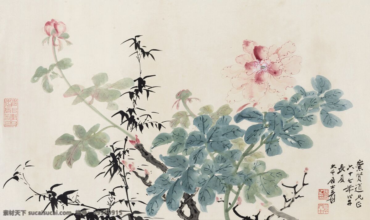 张大千 字画 花卉 花卉图 卧室画 客厅装饰画 玄关画 走廊 张大千国画 文化艺术 绘画书法