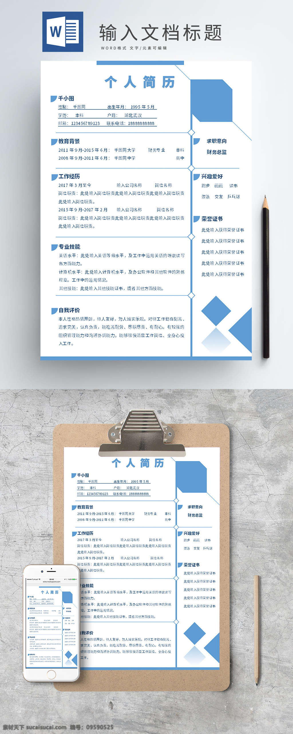 财务会计 类 求职 简历 财务 会计 简约 蓝色