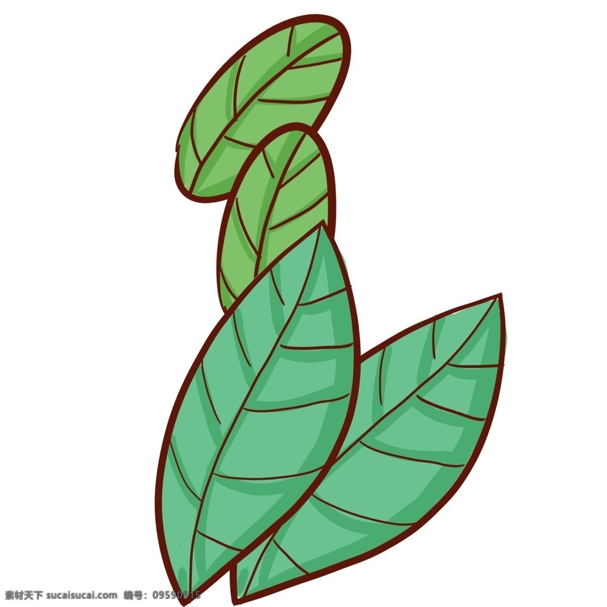 简约 植物 树叶 图案 叶子 水彩画 插画 绘画 卡通 彩色 创意 精致精美 绘画手稿