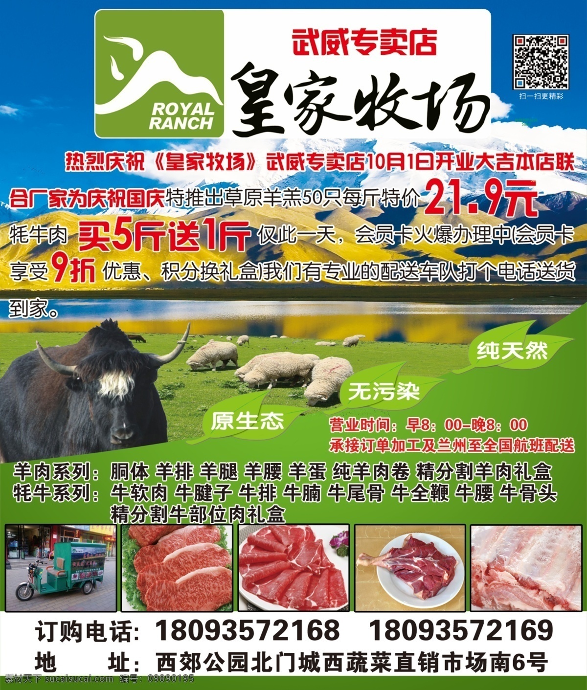 皇家 牧场 dm宣传单 牛肉海报 皇家牧场 牛肉宣传 牧场广告 藏牛肉宣传 宣传海报 宣传单 彩页 dm