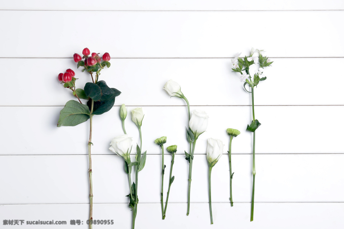 草原 感受春天 春天气息 花草 春天图片 绿色图片 花草图片 春天植物 樱花 白色花朵 植物图片 花朵图片 清新花朵 自然素材 清新 桃花 壁纸 春意 春天 护眼 背景图片 白色清新 花朵素材 banner 壁纸图片 小清新图片 微距图片 护眼图片 清新图片 简洁图片素材 桌面壁纸 自然景观 自然风景
