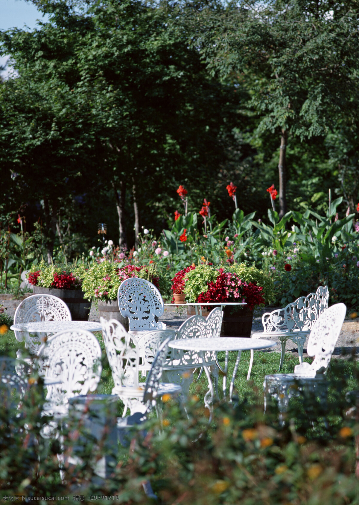 花园 一角 椅子 植物 桌子 花园一角 白色桌椅 风景 生活 旅游餐饮