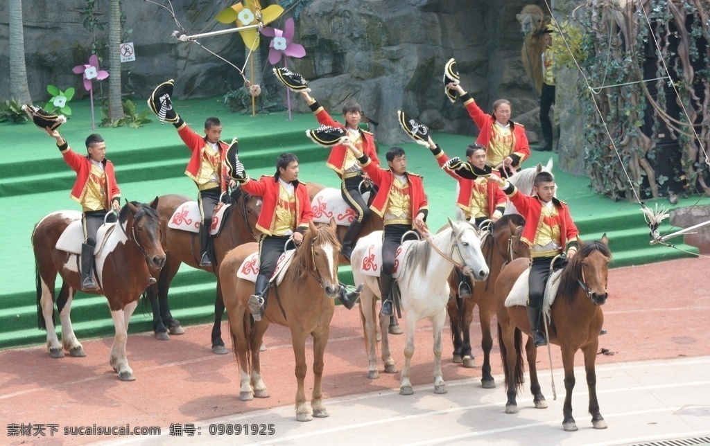 骑马表演 上海市 野生动物园 生物世界 观赏 旅游景点摄影 表演场地 野生动物
