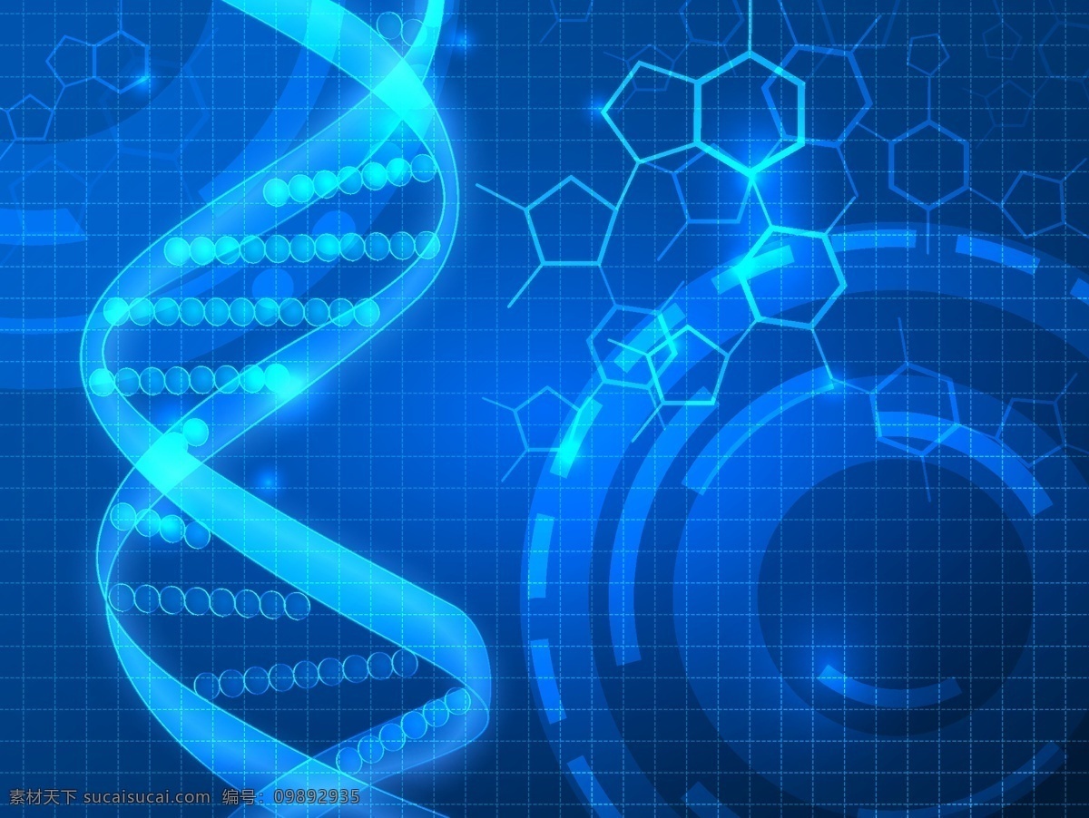 dna 科学 医学 生物 生物化学 生物学 技术细胞 化学 铬染 色体 克隆 代码 进化