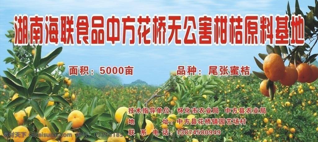 水果 基地 背景板 桔子 蓝天白云 矢量 模板下载 水果基地 桔子树 矢量图 日常生活