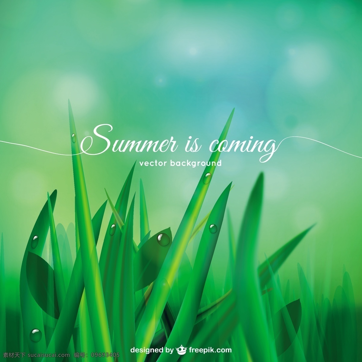 夏天即将到来 背景 夏天 自然 绿色 草 绿色背景 树叶 植物 自然背景 绿叶 草坪 即将到来