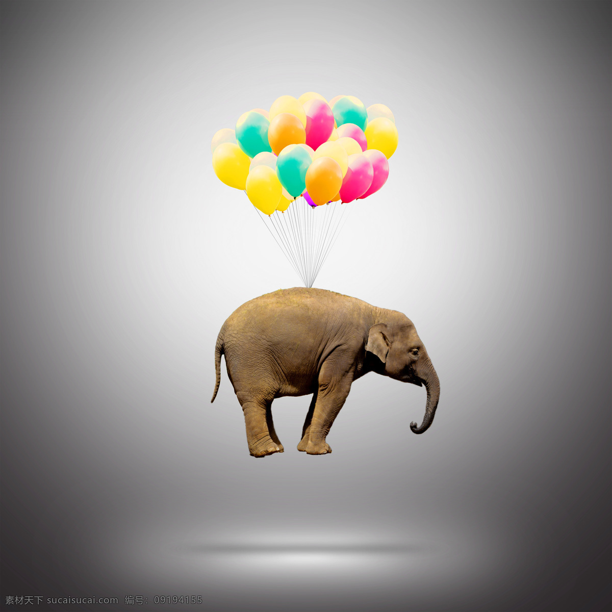 气球 拉 大象 成就 概念 巨大 动物 飞 幽默 野生 强大 户外 重 想像力 生物世界