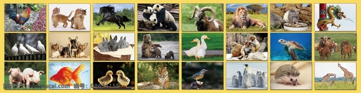 动物大集合 儿童认图 动物 集合 儿童 认图 动物大世界 生物世界 家禽家畜