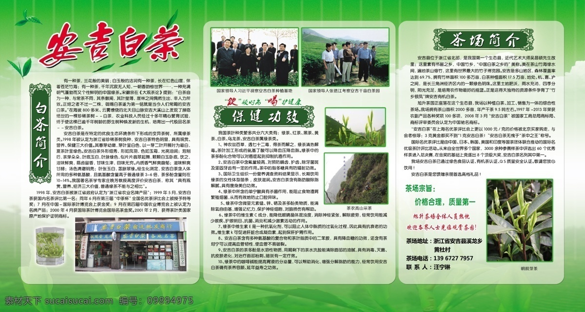 安吉白茶 白茶 浙江 茶 茶叶 茶文化 茶简介 茶叶展板 茶展板 浙江安吉 展板模板 广告设计模板 源文件