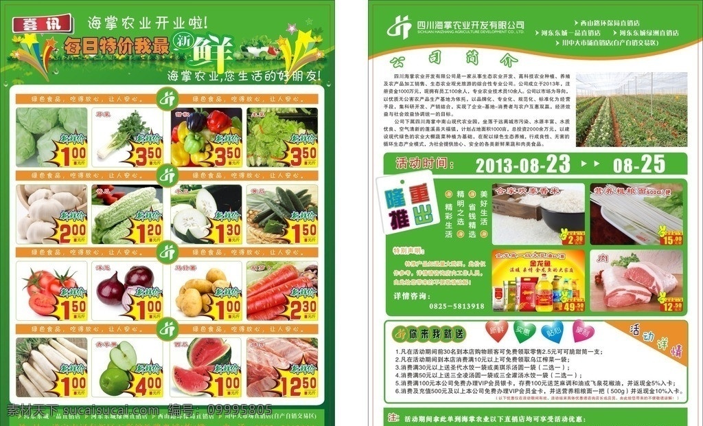 超市 蔬菜 宣传单 dm单 绿色dm单 开业 萝卜 白菜 洋葱 四季豆 土豆等 dm宣传单 矢量