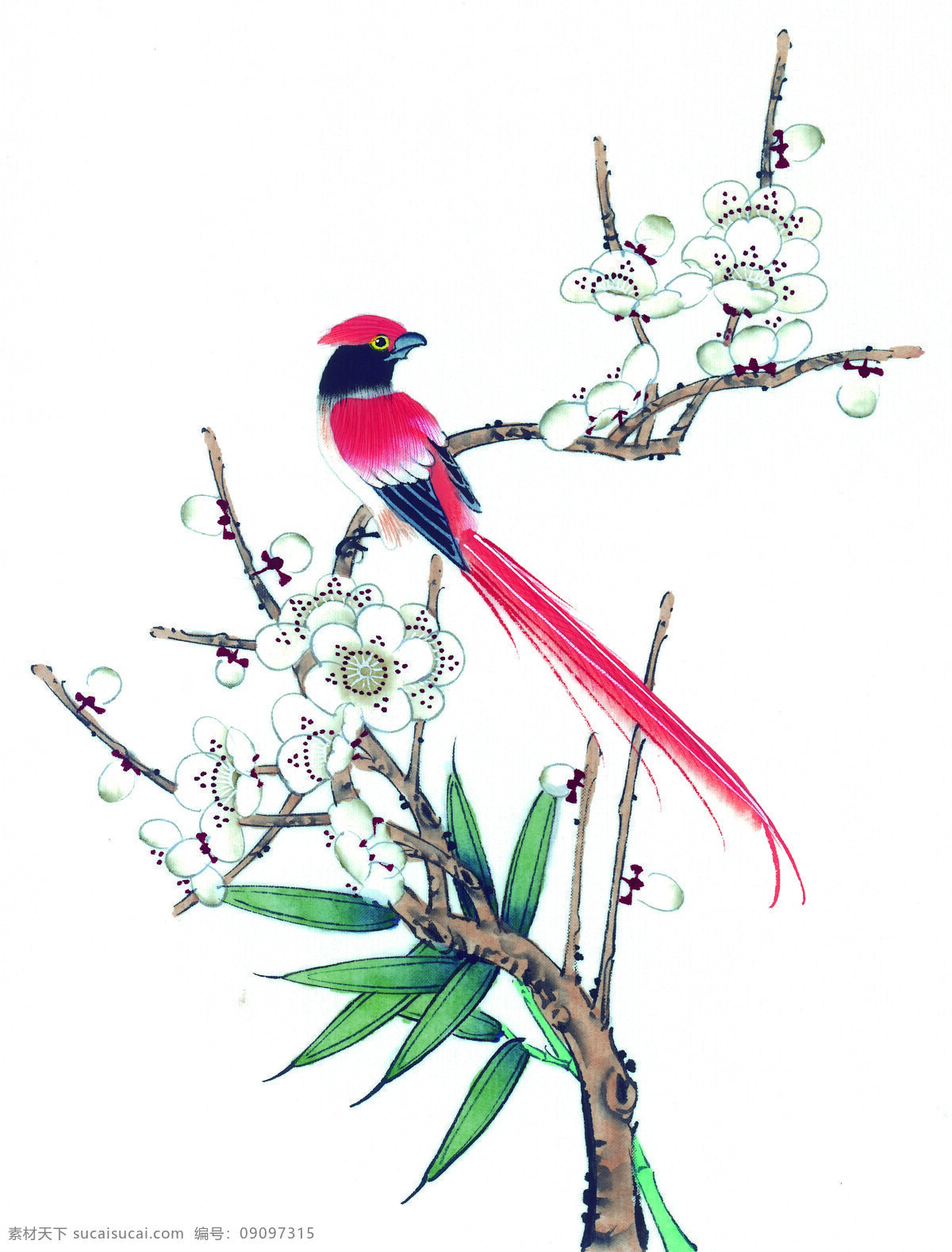 中国 风 花 牡丹 芍药 桃花 喜鹊 小鸟 中国风 中华艺术绘画 文化艺术