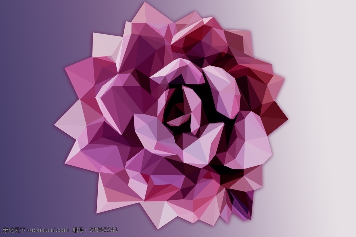 低 多边形 紫色 肉 植物 low poly 低多边形 渐变 多肉 插画