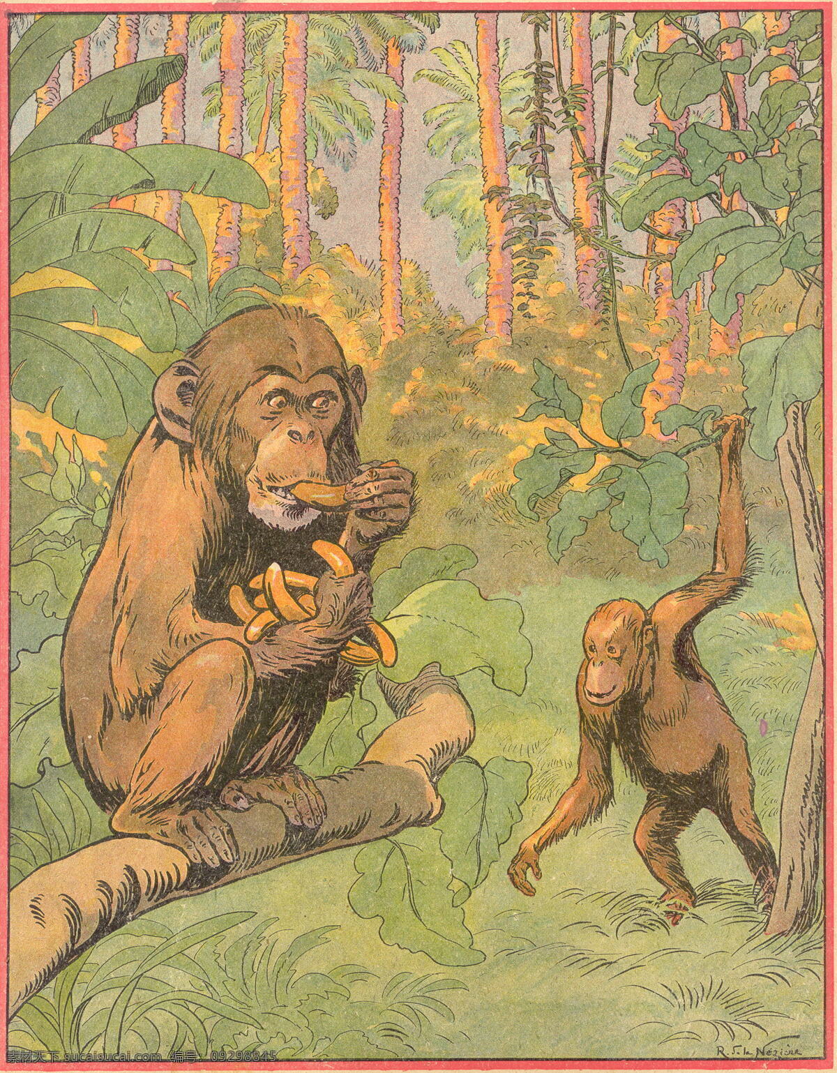 热带雨林 插画 猴子 卡通图片 油画 猴子吃香蕉